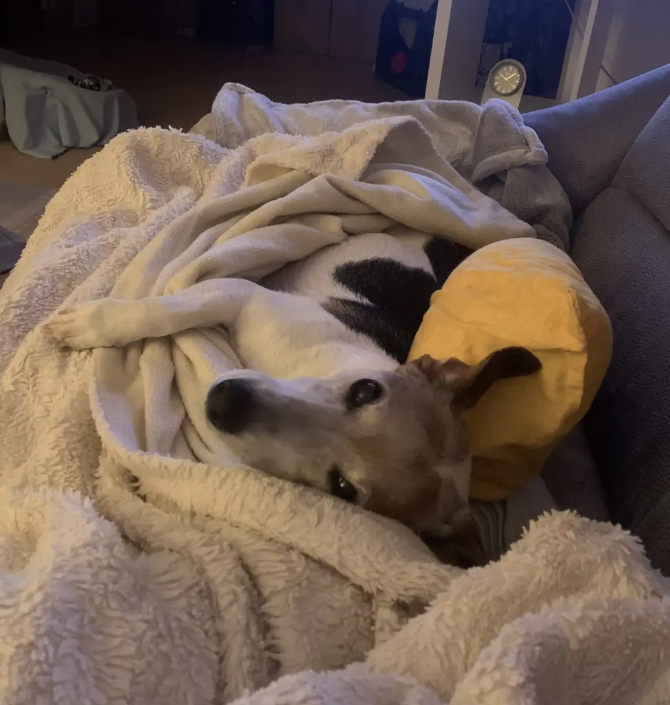 Andachtsbild von Mona mit Lina im ♥️