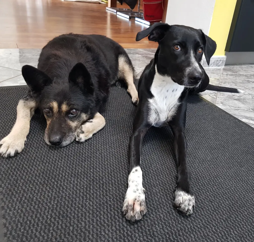 Andachtsbild von UJ + Murphy