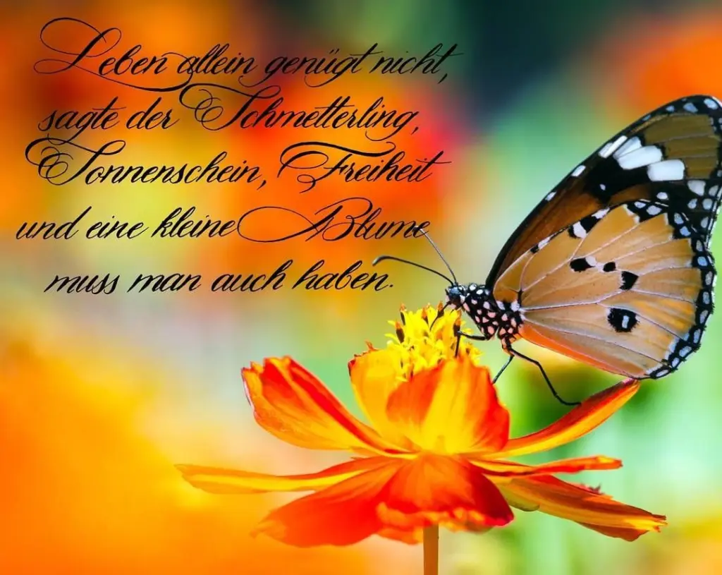 Andachtsbild von Paul mit "Spiky" im Herzen!