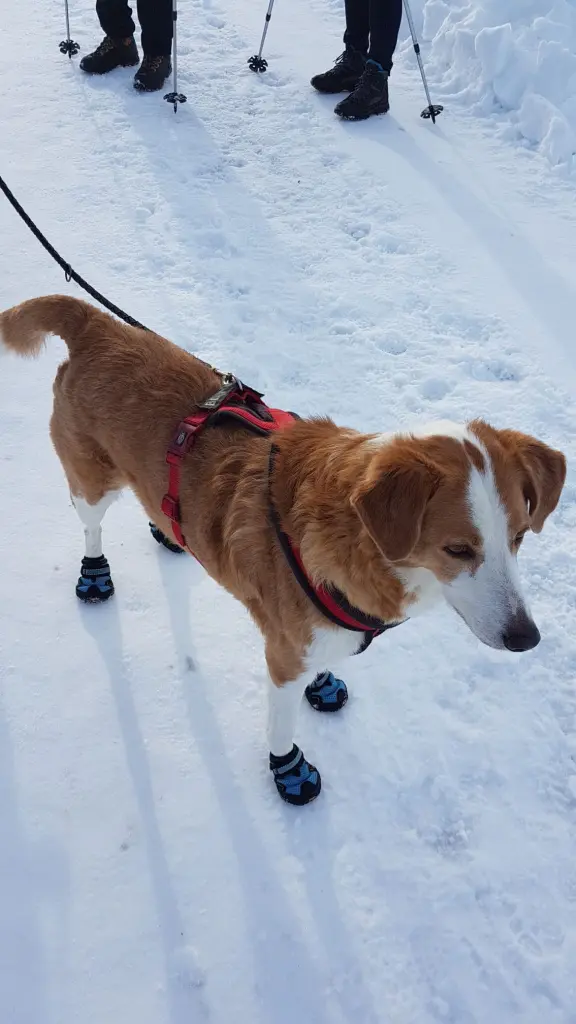Andachtsbild von Gabi Schönmetzler
