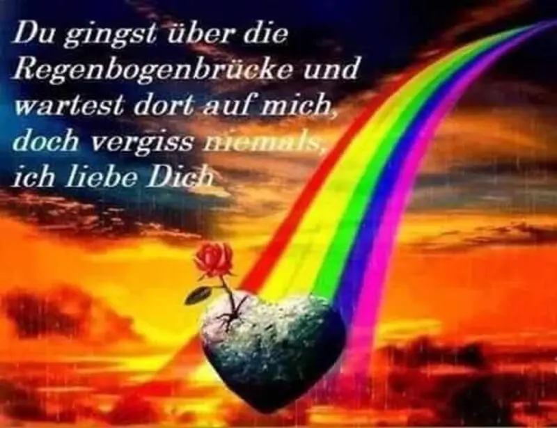 Condolence image of Konny mit Piccolino-Fly tief im ❤️