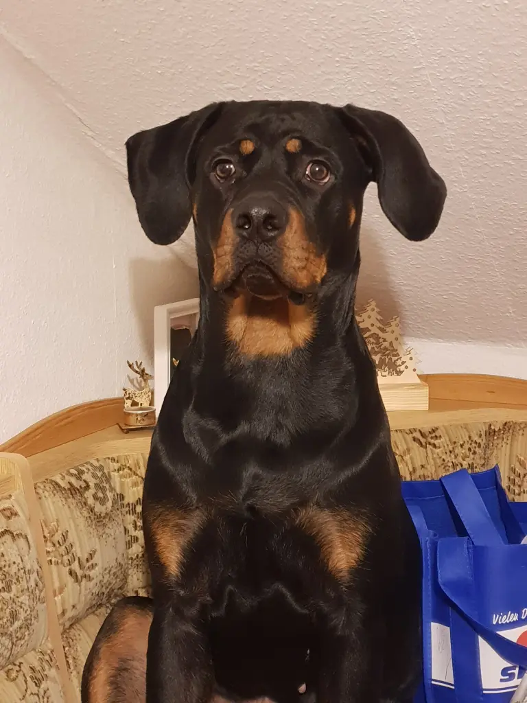 Andachtsbild von Madlen