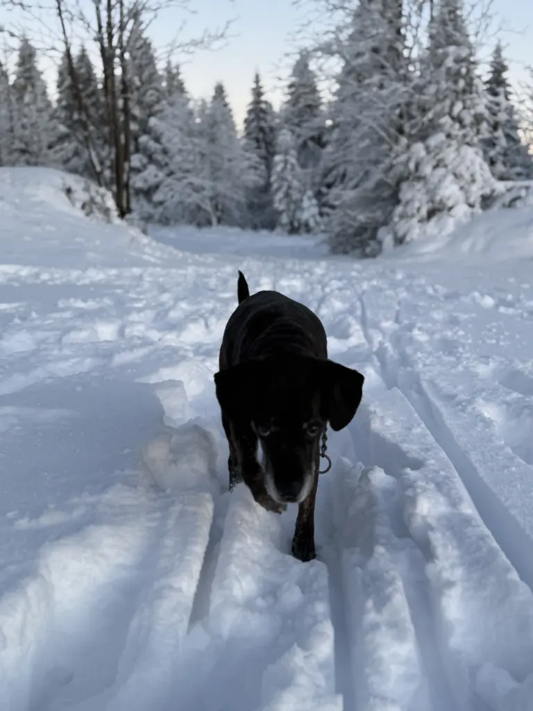 Andachtsbild von Jacqueline Oremek