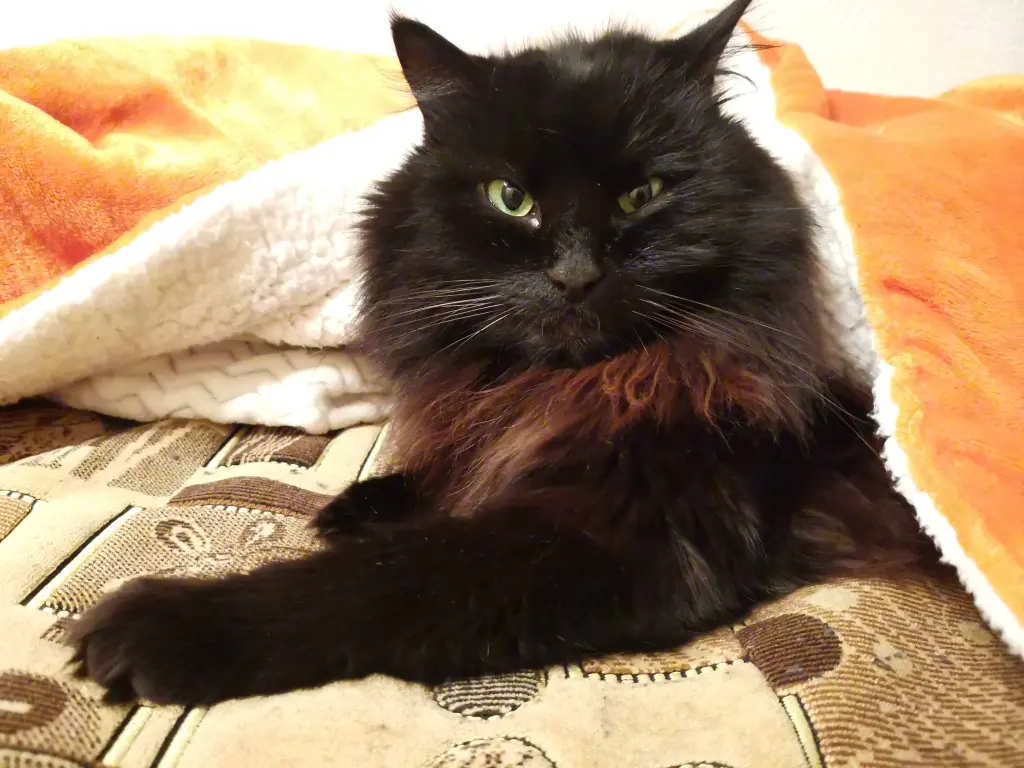 Andachtsbild von Tatjana