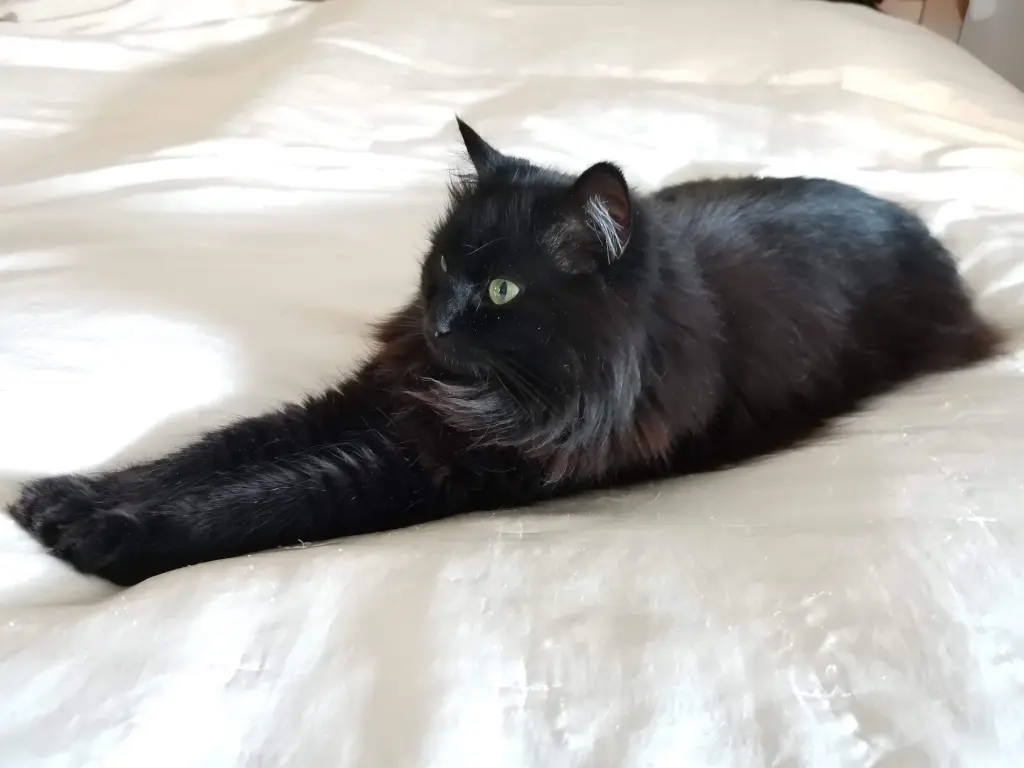 Andachtsbild von Tanja