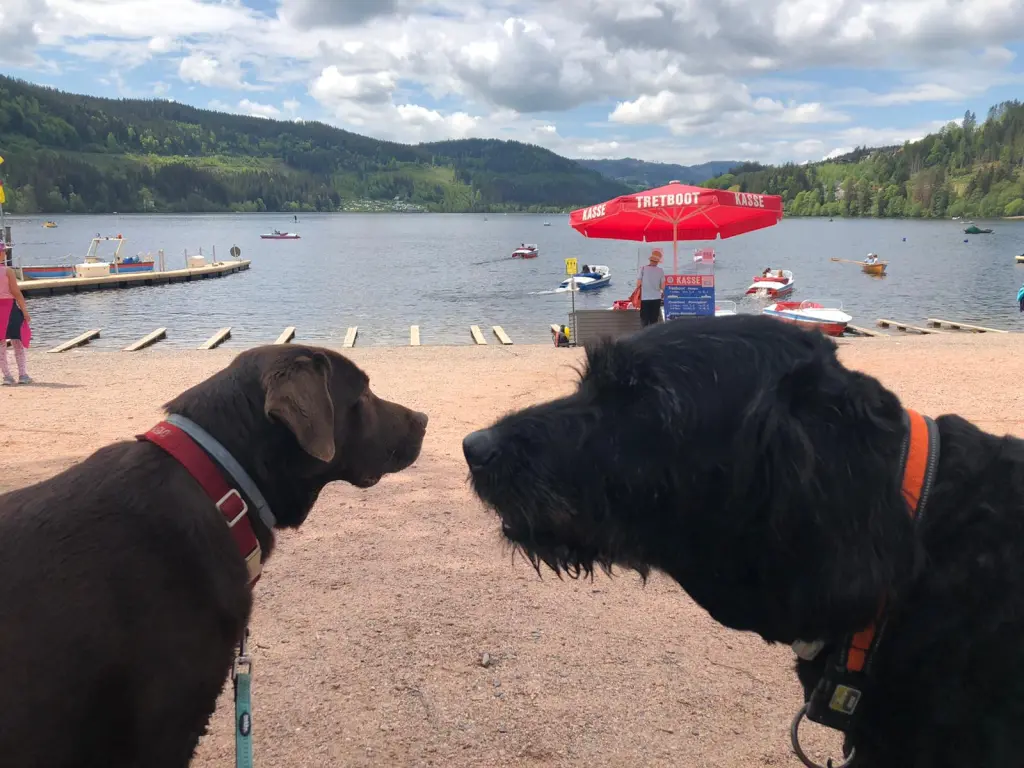 Andachtsbild von Jo und Milka Dieth