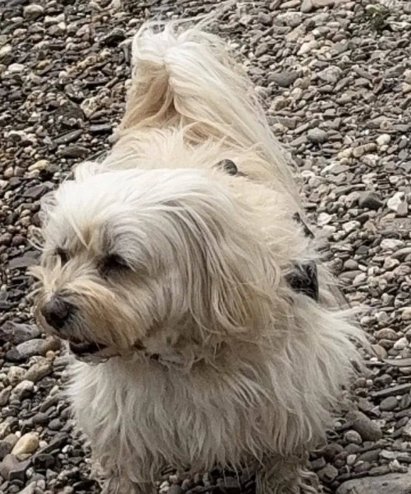 Danke für jeden Tag mit dir 💖