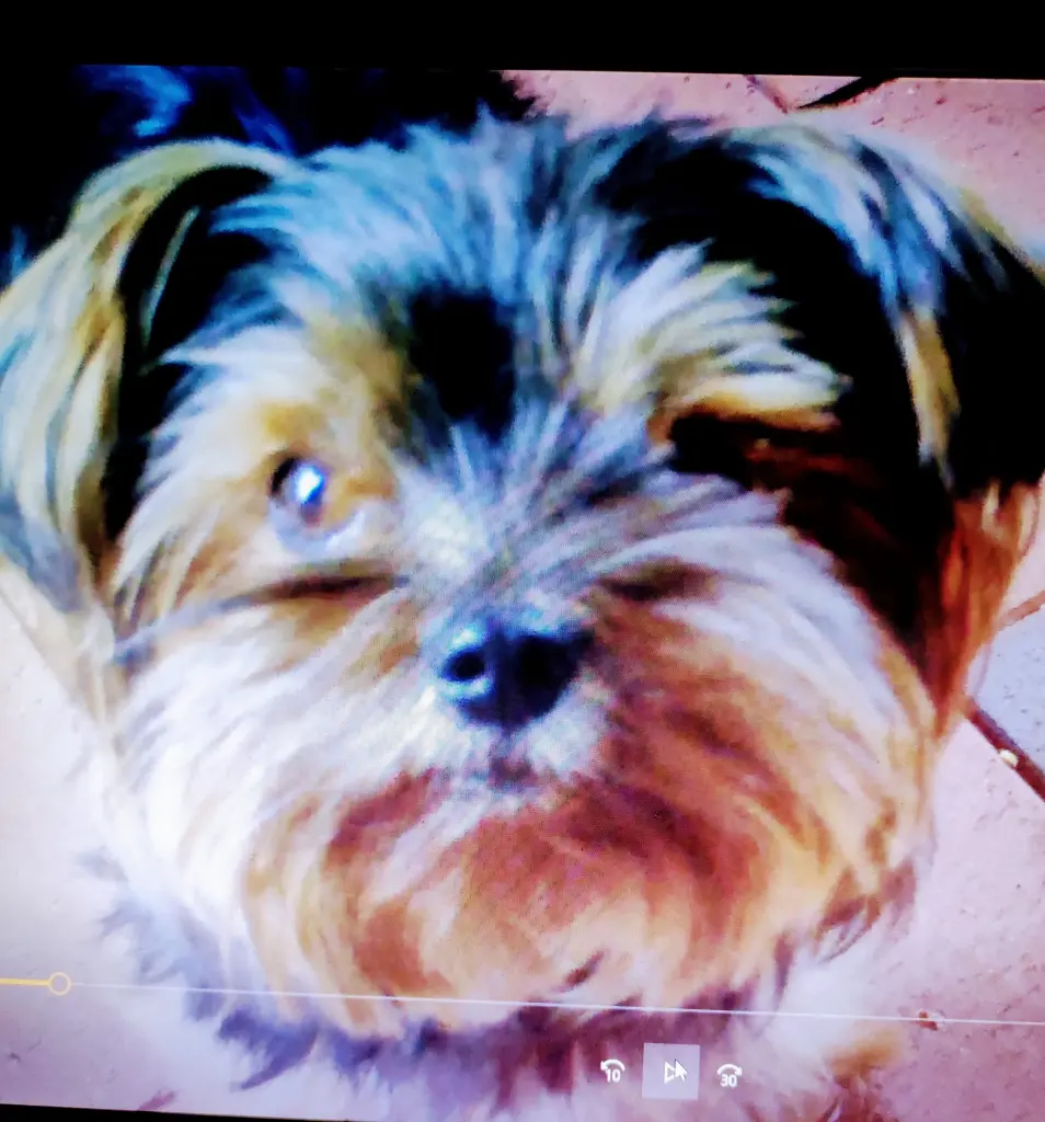 Bild von Maya