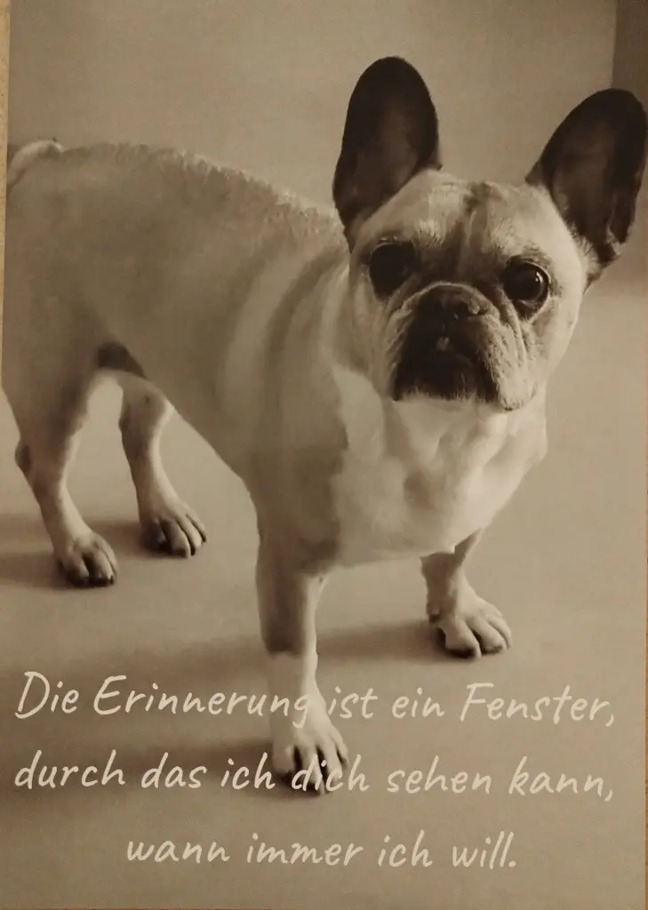 Andachtsbild von Monika Albrecht