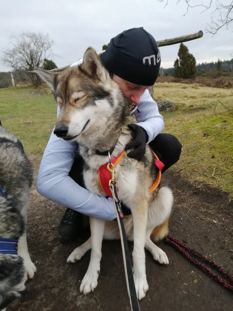 Andachtsbild von Candy