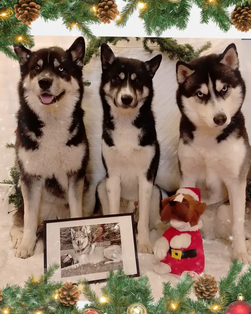 Andachtsbild von Candy