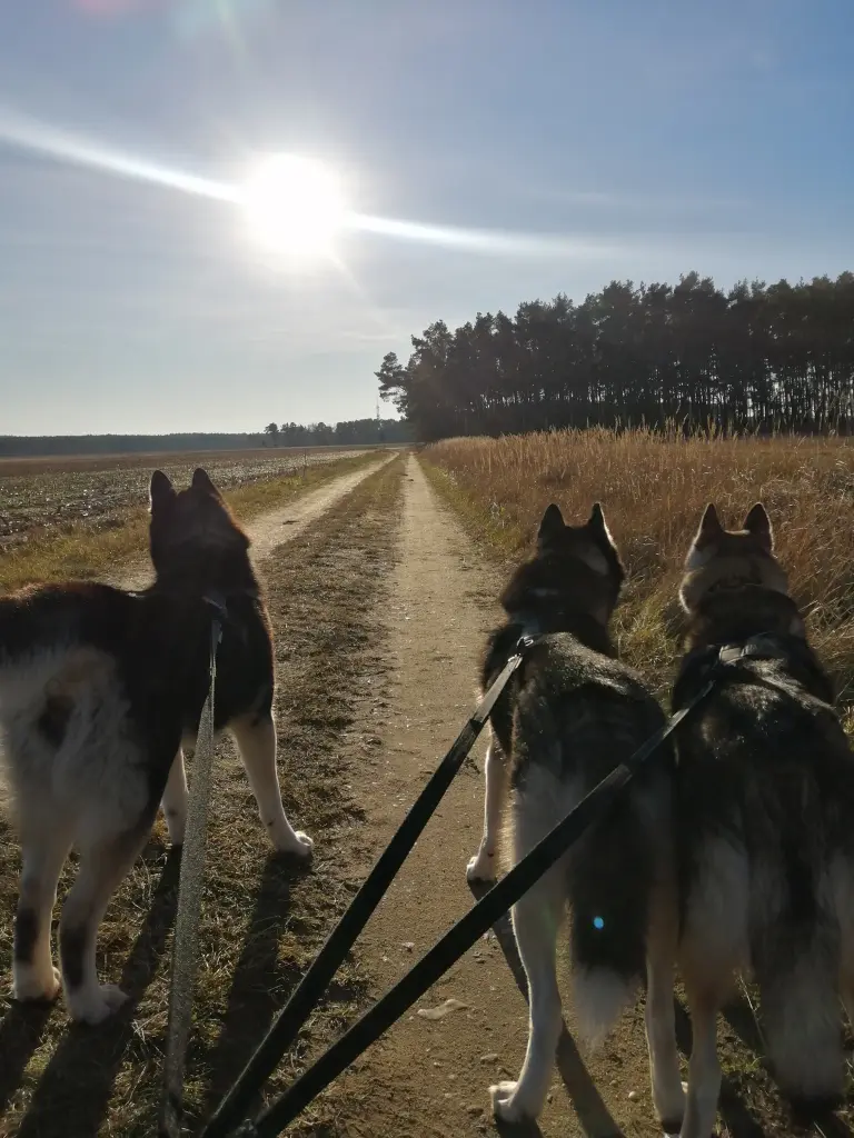 Andachtsbild von Candy