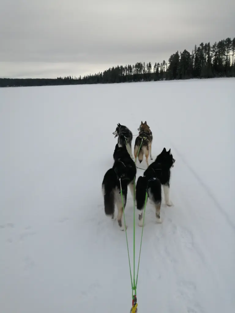 Andachtsbild von Cand