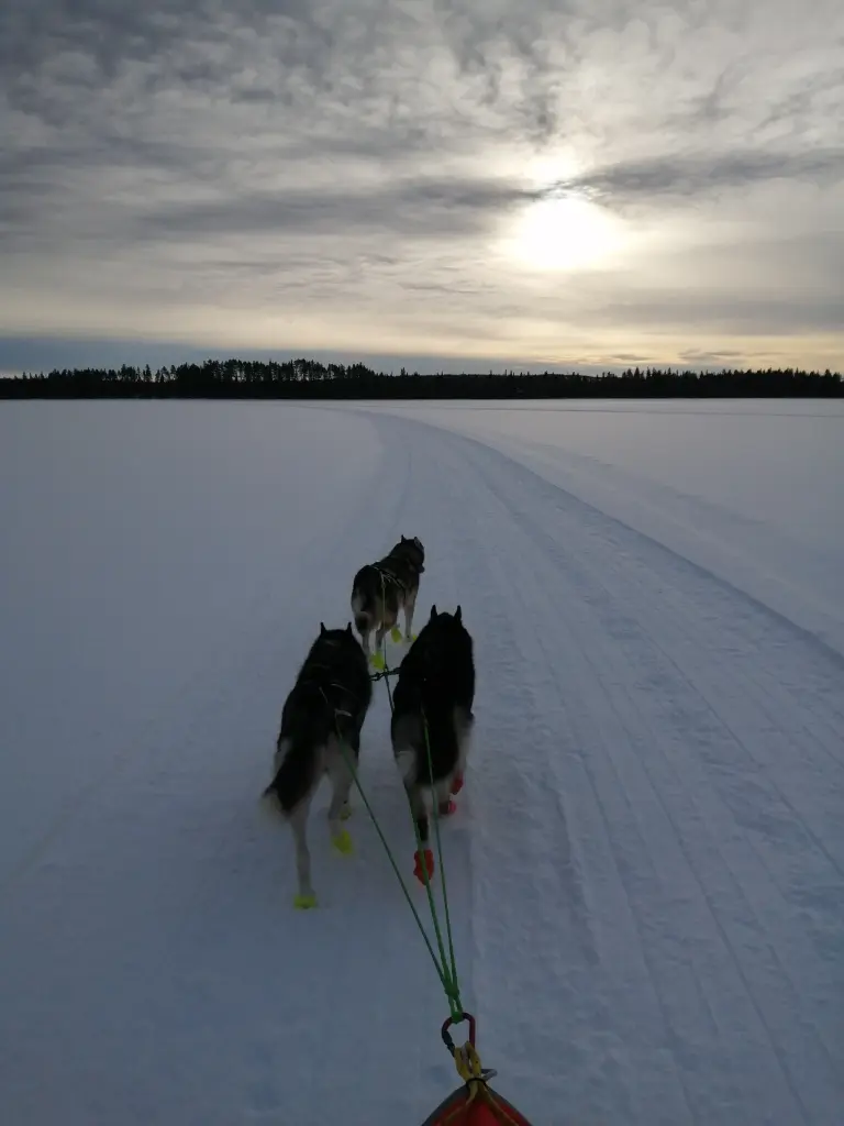 Andachtsbild von Candy