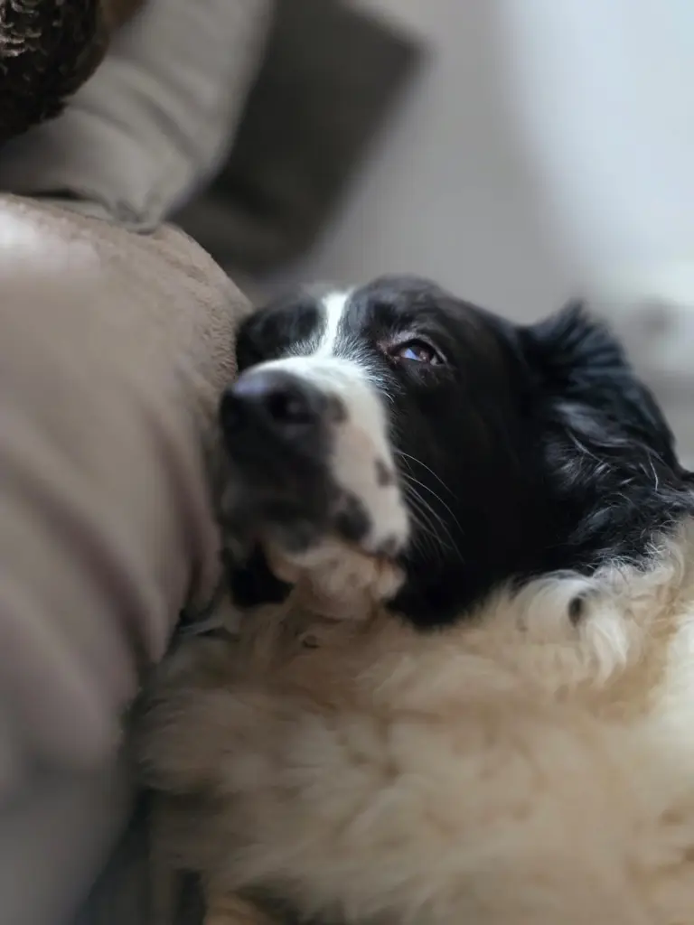 Andachtsbild von Rene