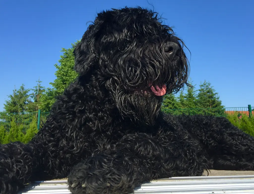 Andachtsbild von Ines