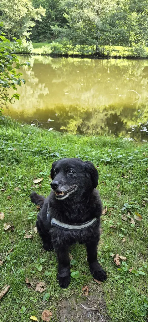 Andachtsbild von Waltraud Ickert