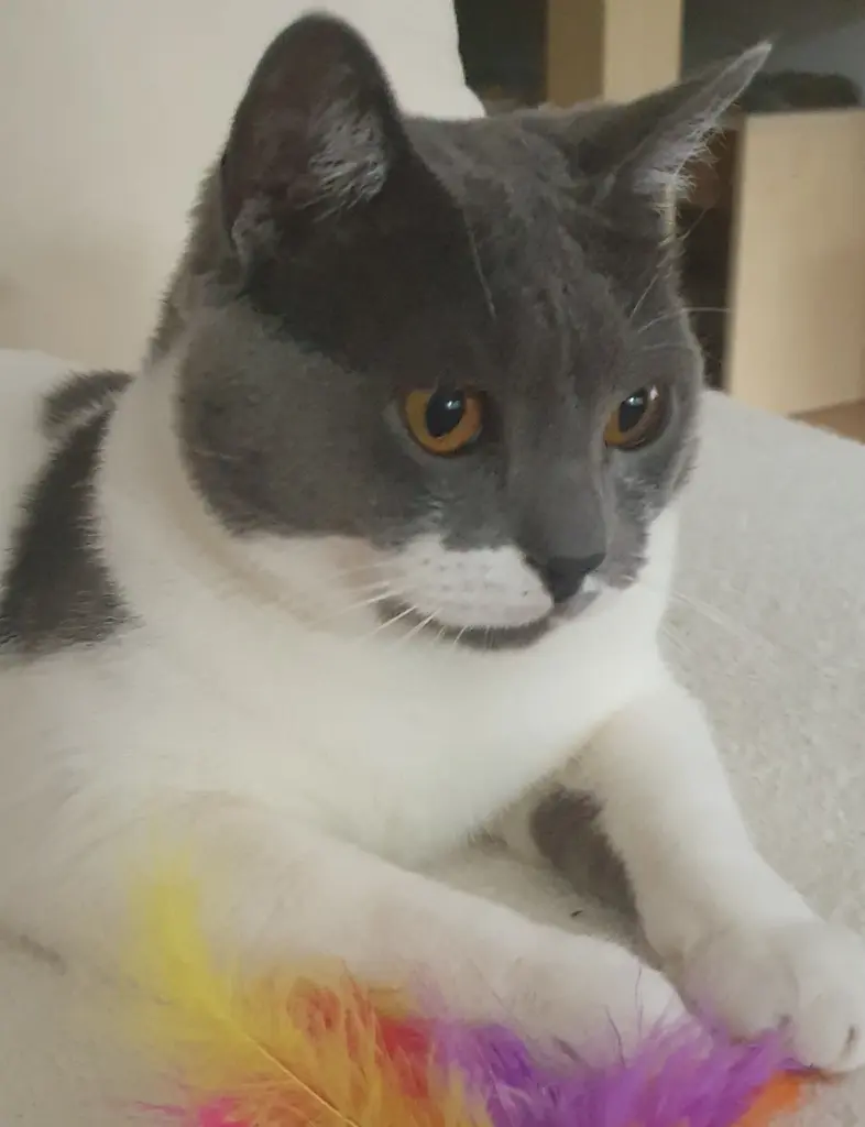 Andachtsbild von Martina