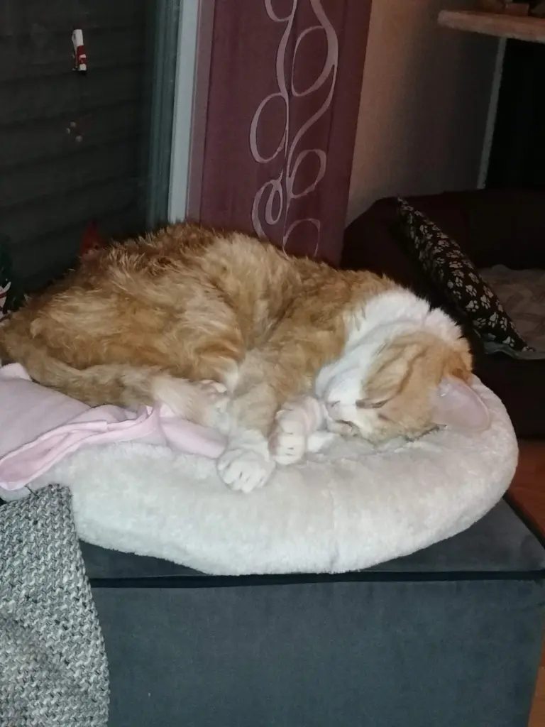 Mein schöner Mann. Du hast beim schlafen immer so süss ausgesehen.