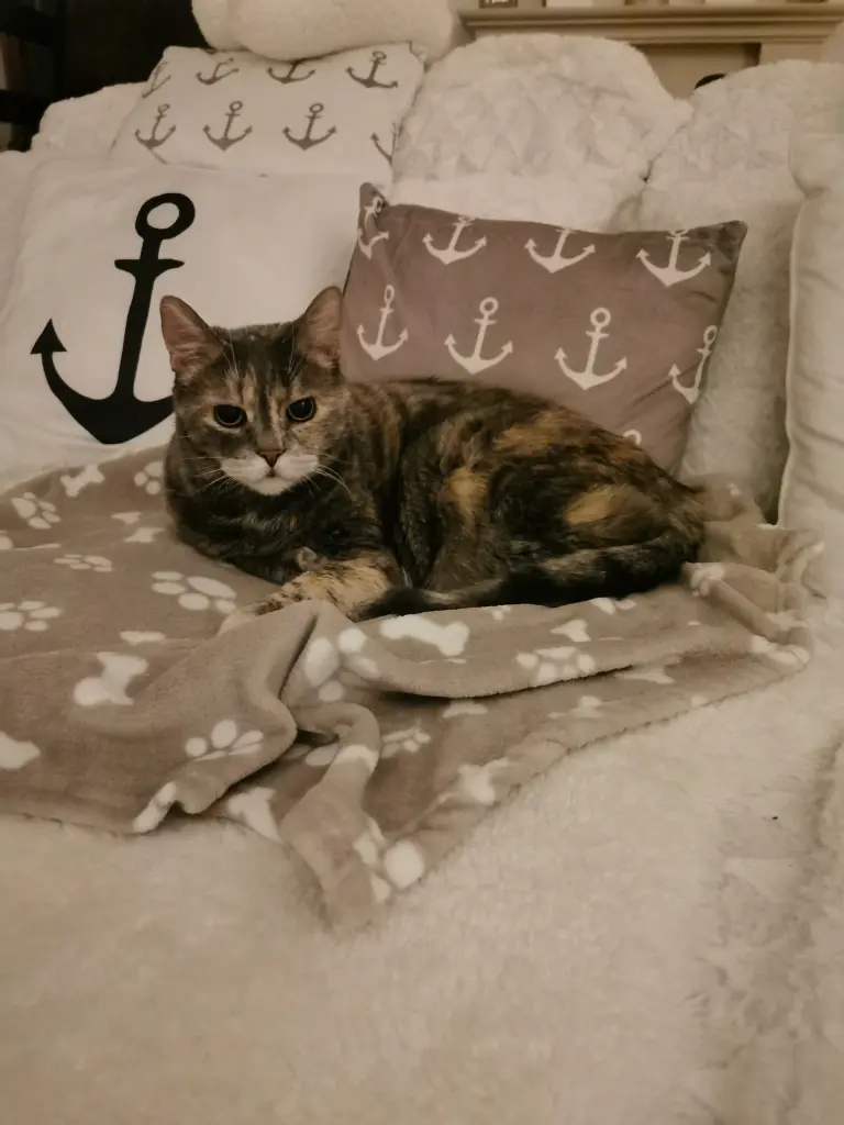 Andachtsbild von Andrea Schlüter