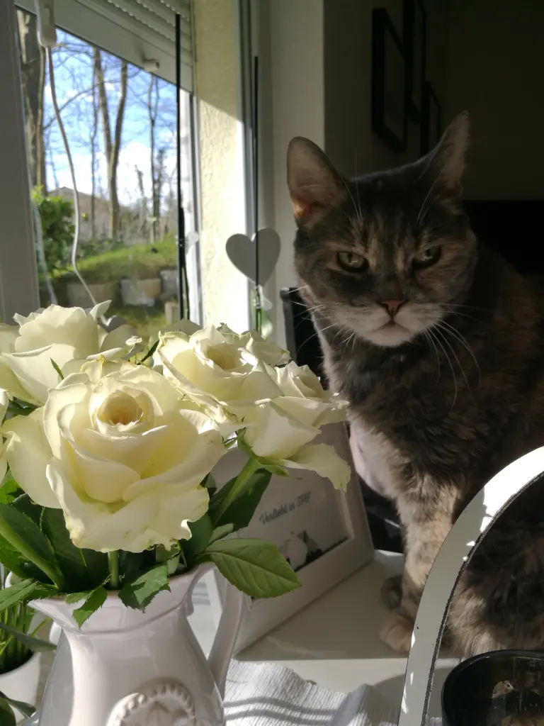 Andachtsbild von Andrea Schlüter