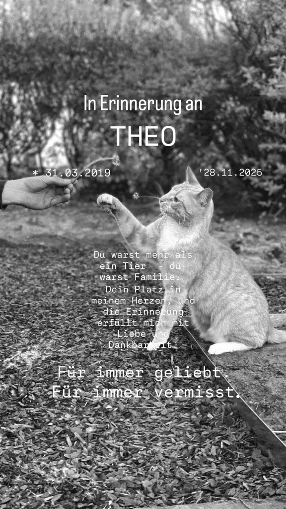Bild von Theo