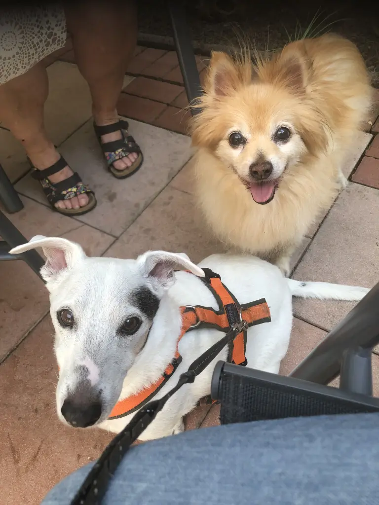 Andachtsbild von Bettina Luther