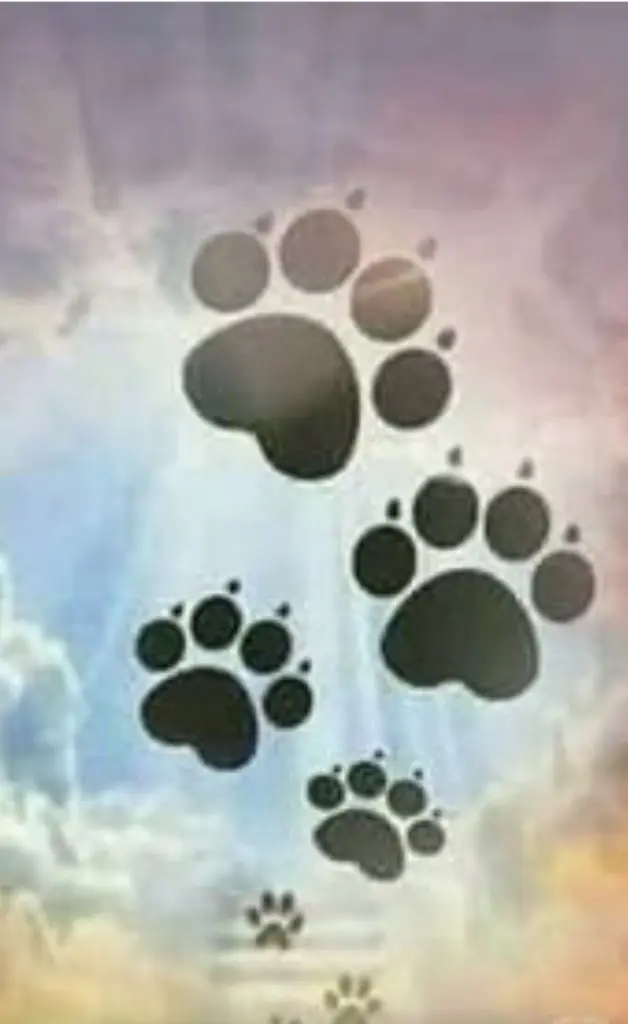 Condolence image of Josephine 