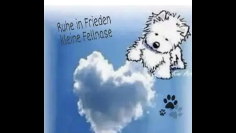Condolence image of Josephine 