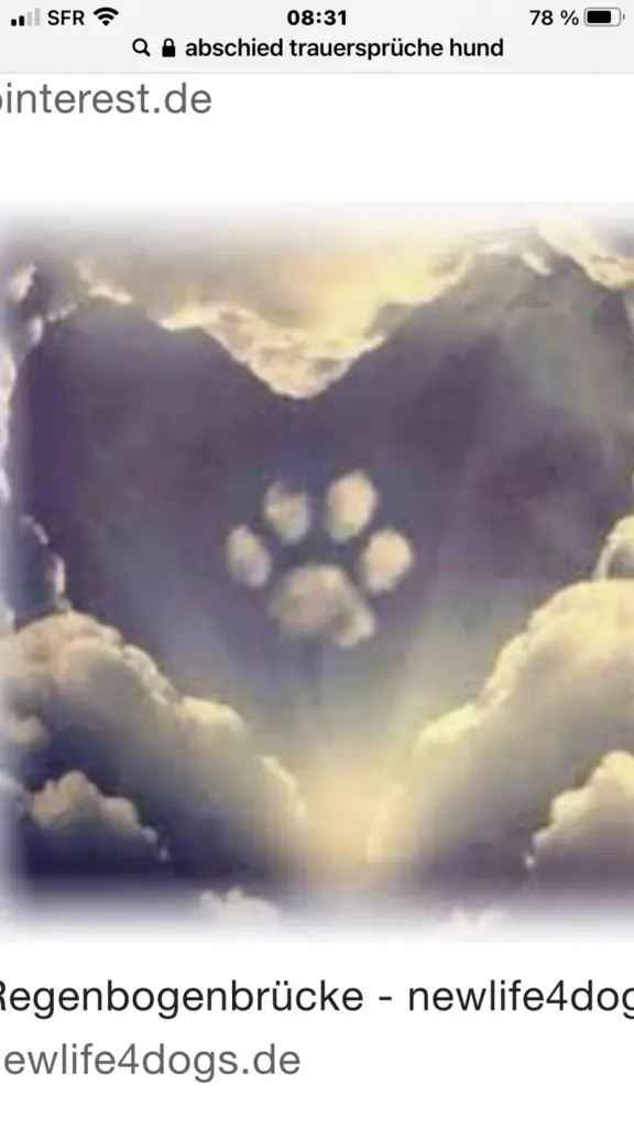Condolence image of Josephine 