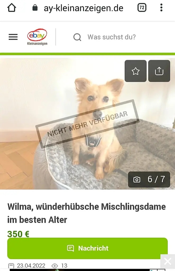 Bild von Wilma