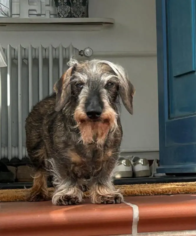 Andachtsbild von Jutta & Udo Schilling