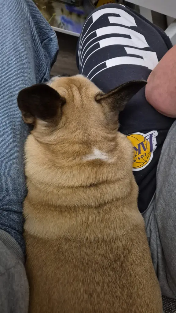 Andachtsbild von Juna Paul