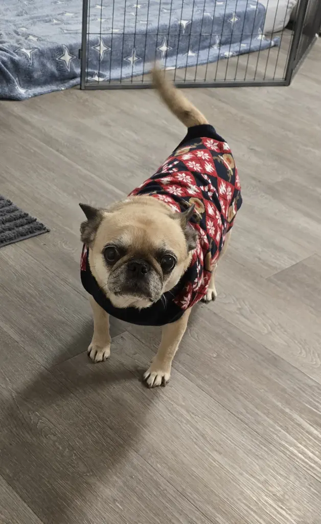 Ihr neuer Winter-Pullover für die kalten Tage