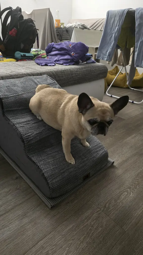 Endlich konnte sie wieder allein auf die Couch