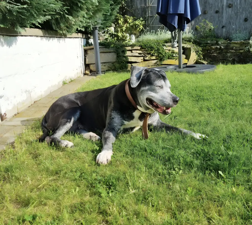 Andachtsbild von Simona