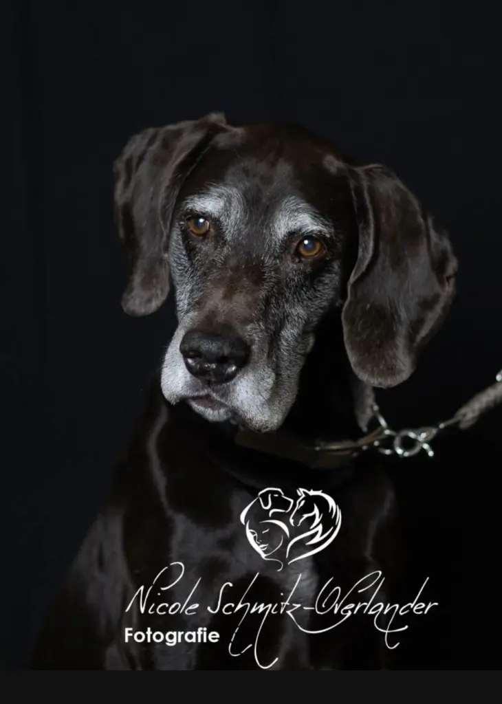 Andachtsbild von Heike Dyckerhoff