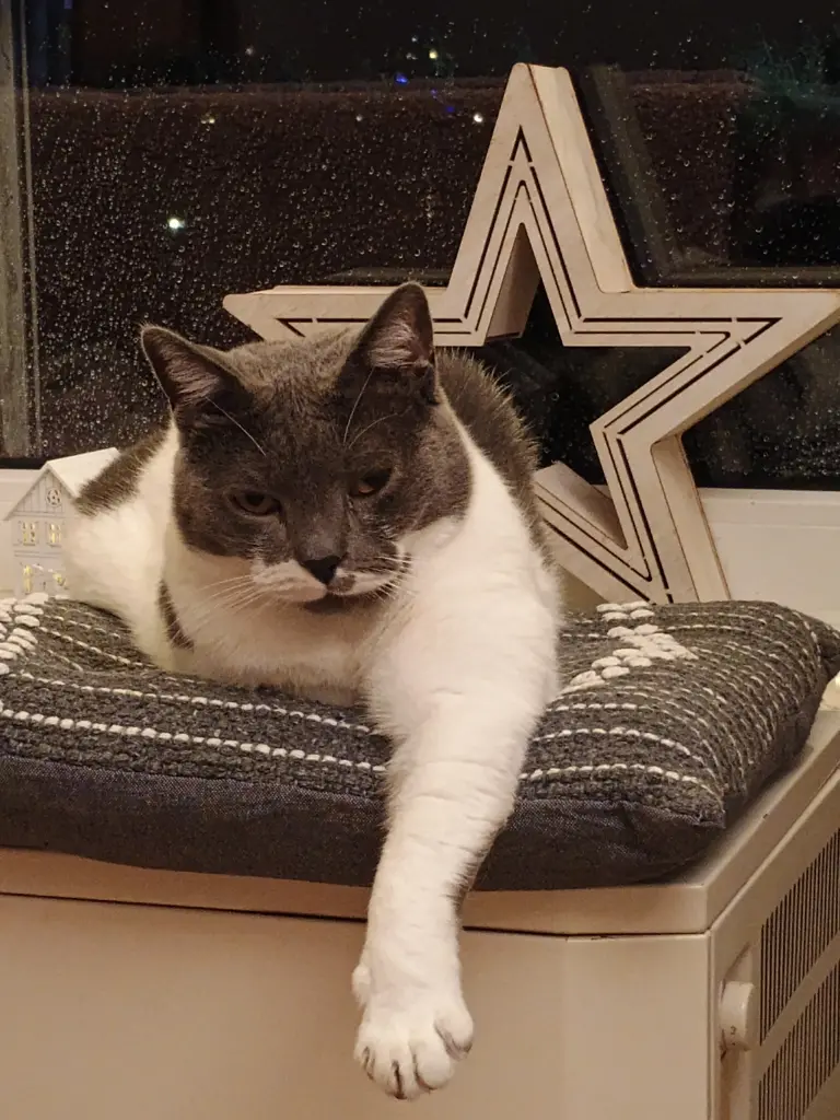 Andachtsbild von Martina