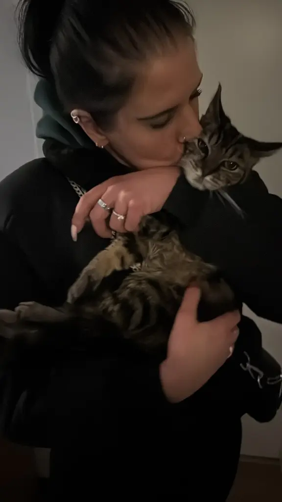 Andachtsbild von Nico Petersen