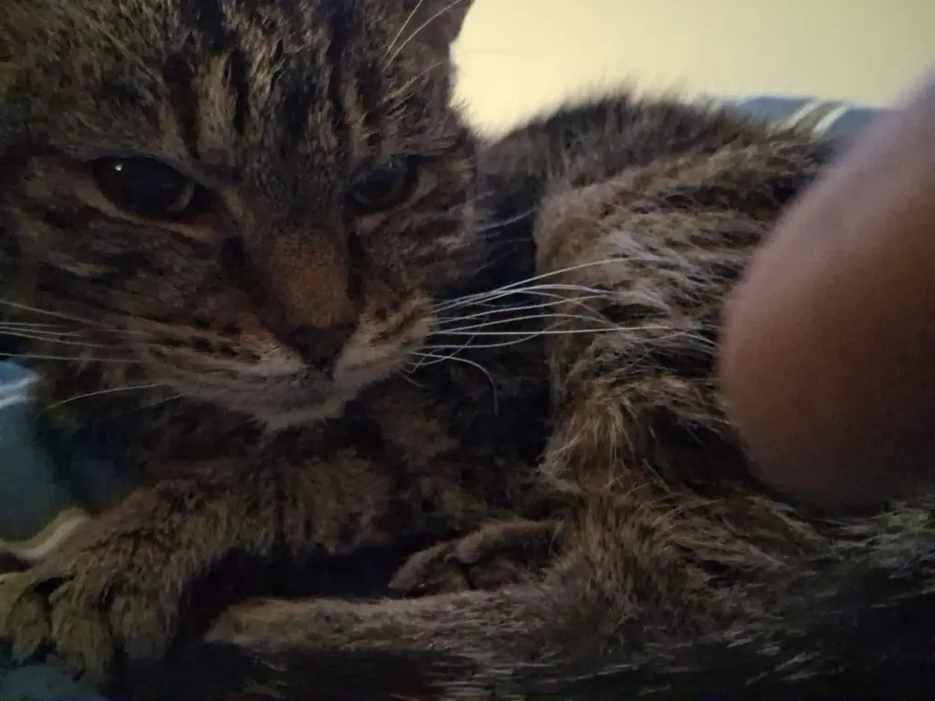 Andachtsbild von Björn Petersen