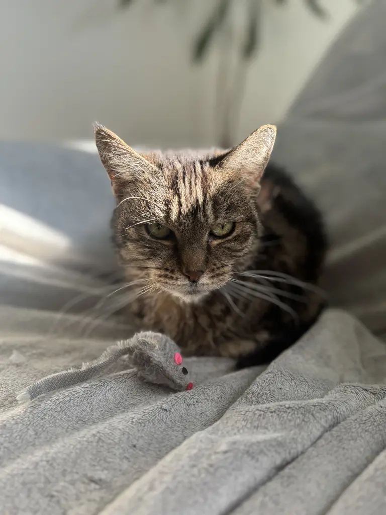 Bild von Finchen ❤️