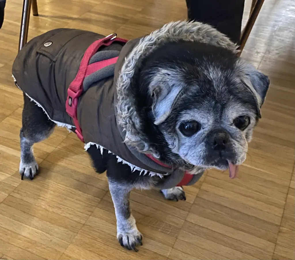 Andachtsbild von Katja Boszus