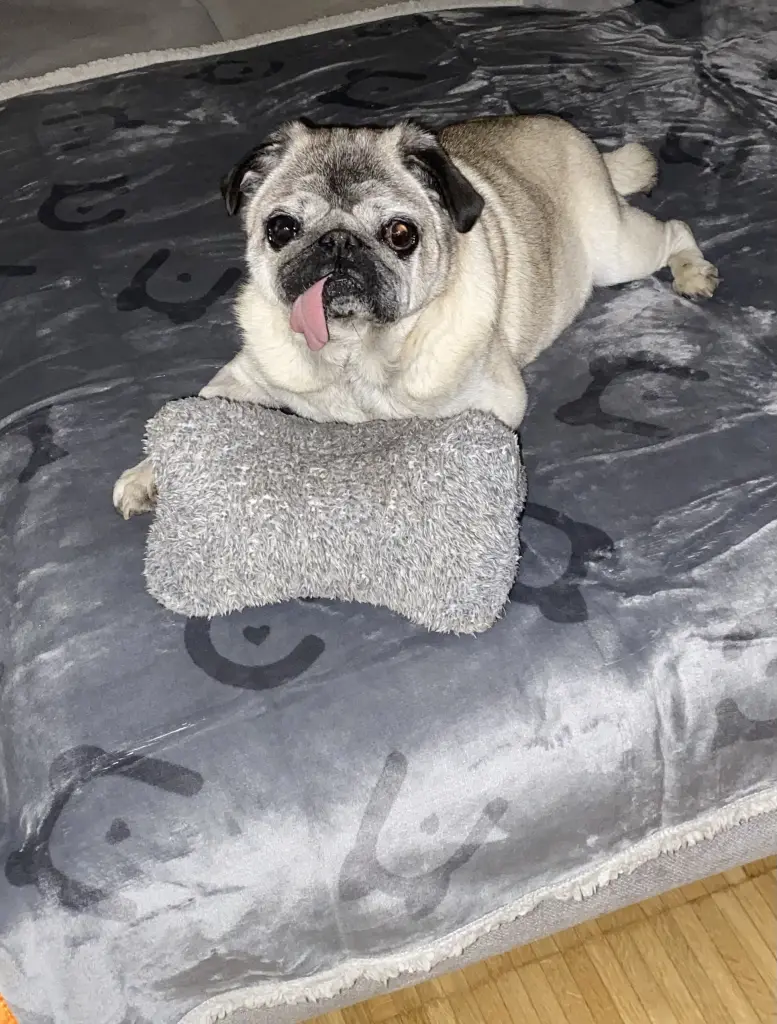 Andachtsbild von Katja Boszus