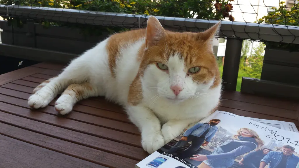 Image from Garfield