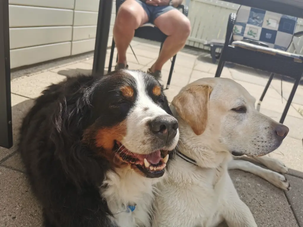 Andachtsbild von Birgit Koch