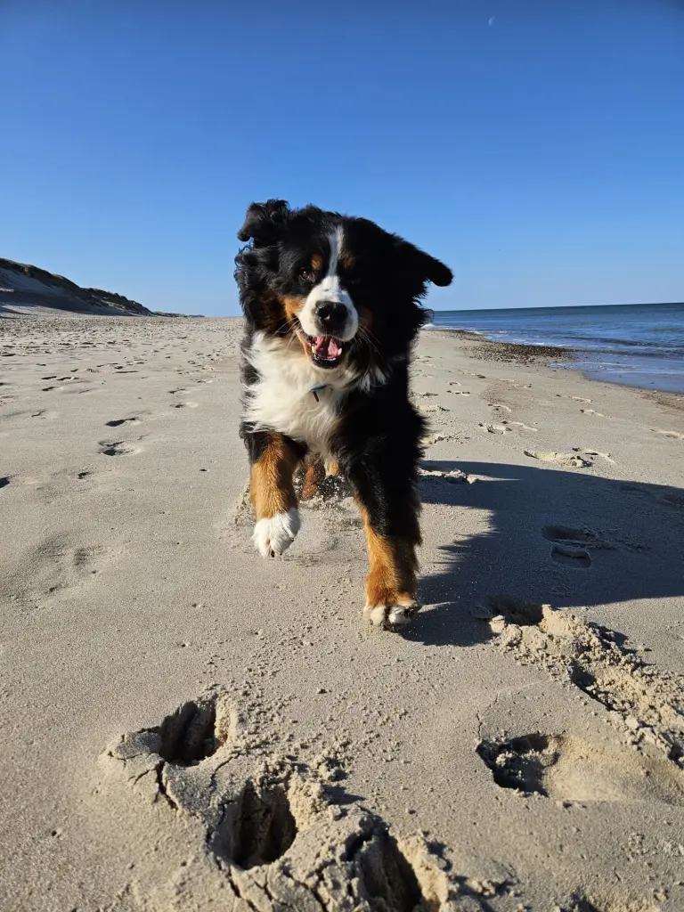 Andachtsbild von Donna Arcieri