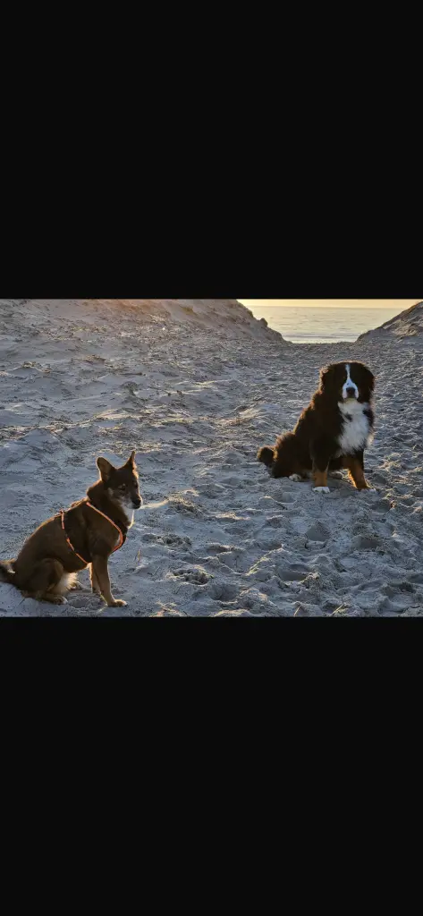 Andachtsbild von Roda Bank