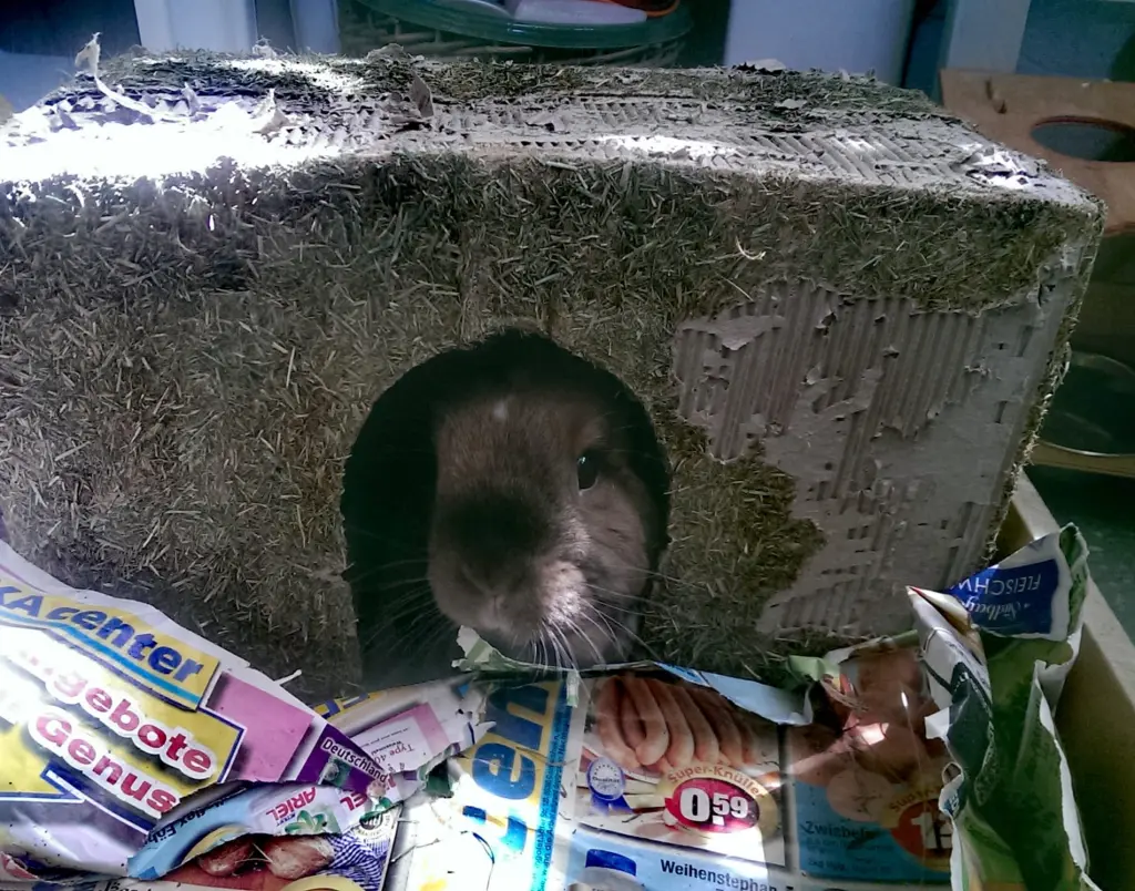 Andachtsbild von Andrea mit Schnuffi tief im ❤