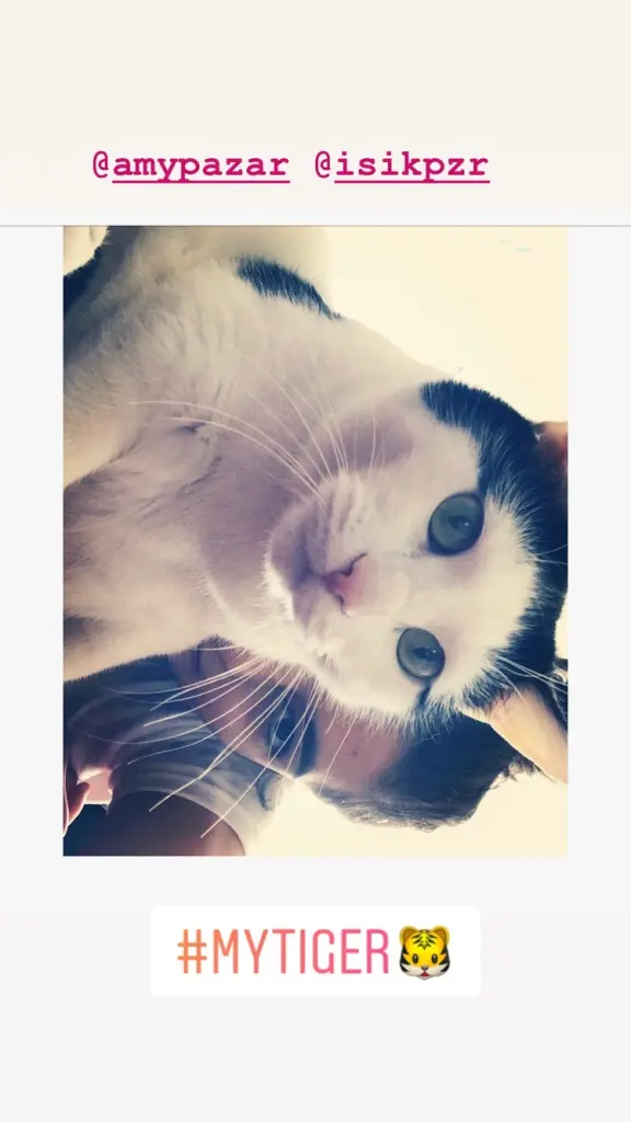Image from Amy