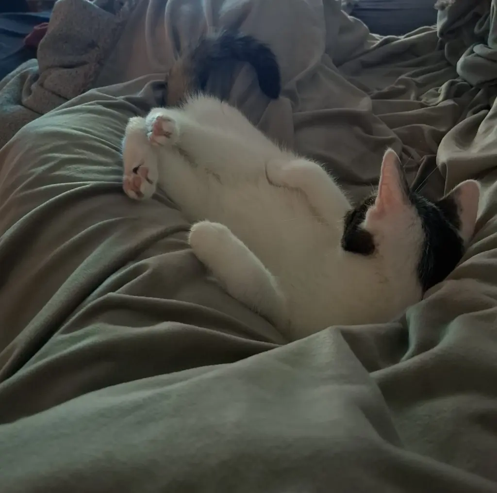 Andachtsbild von Delaisa Büttner